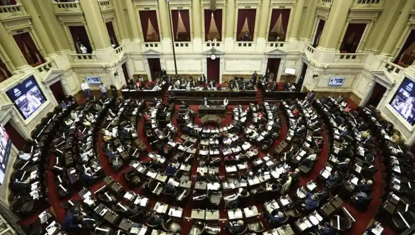Juran hoy en el Congreso los electos diputados por Formosa: Fernández Patri y Carabajal