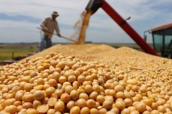 Brasil podría reemplazar a Estados Unidos como proveedor mundial de alimentos