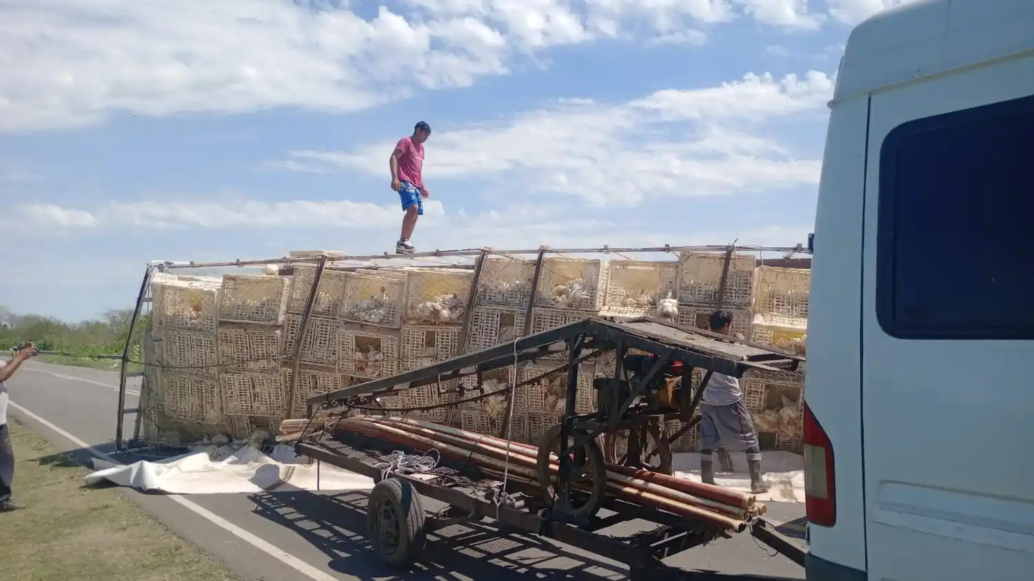 camión de pollos volcó en ruta 191 - liberaron el tránsito