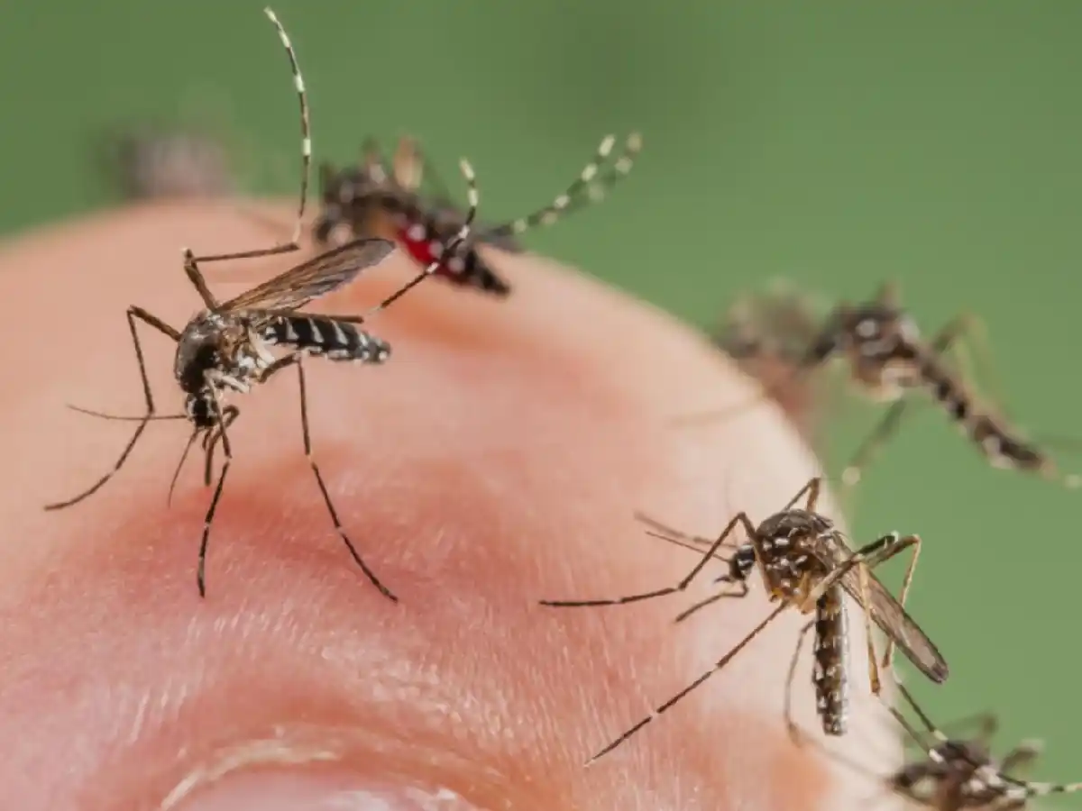 Dengue: hicieron bloqueo sanitario en barrio Magdalena y refuerzan prevención