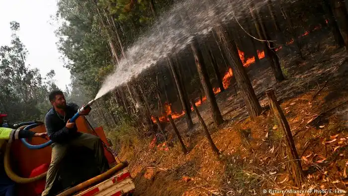 Incendios: Chile investiga a posibles pirómanos
