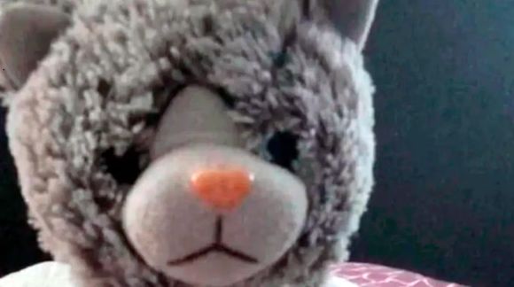 Una pesadilla: extorsionaron a una familia para recuperar el peluche de su hijo con autismo
