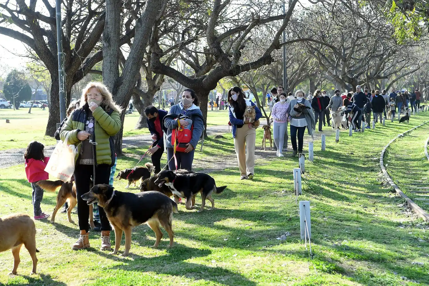 Continúa la campaña antirrábica y de castraciones en distintos espacios de la ciudad