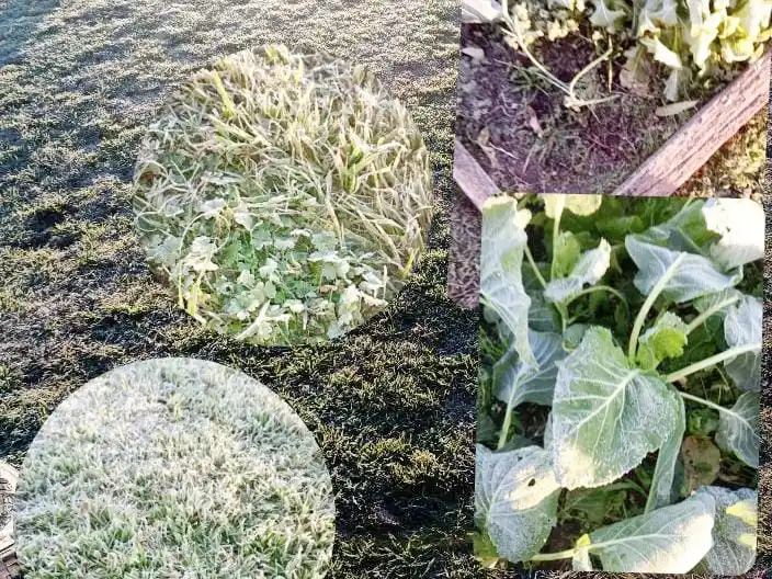 A pesar de la ola polar, en la provincia, el día más frío del año está por llegar