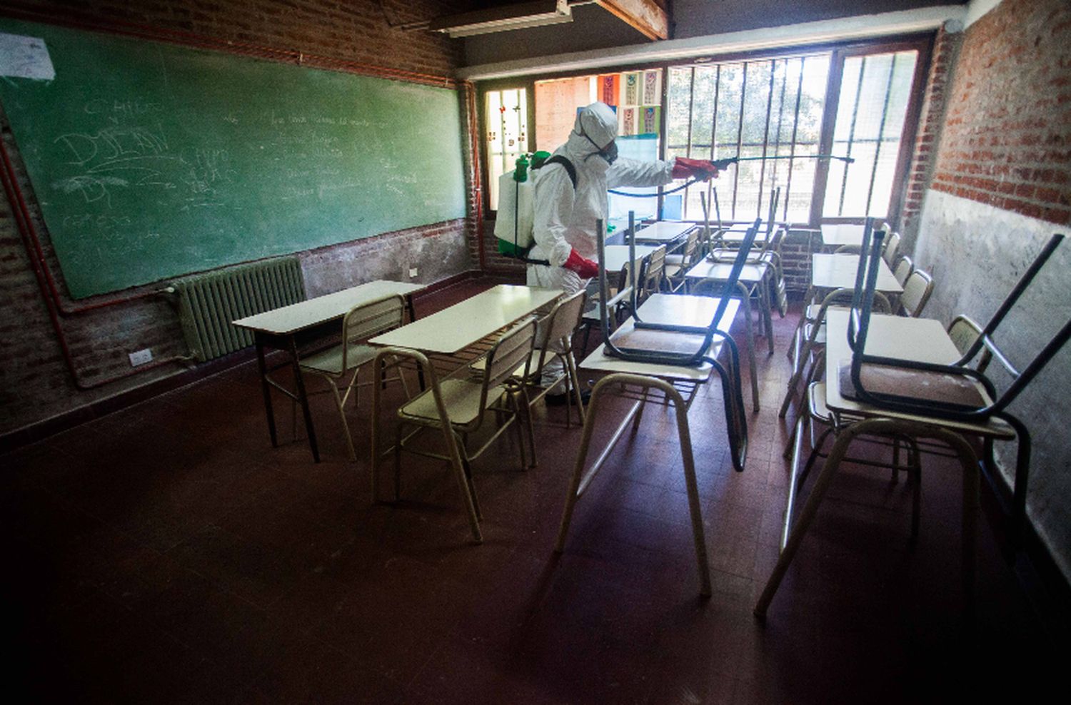 Ponen en marcha el operativo de desratización de escuelas