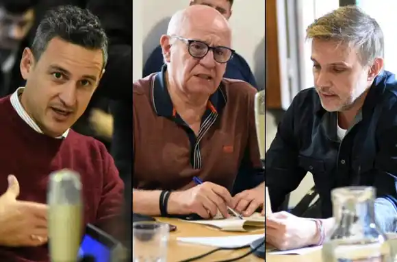 ¿Cuántos proyectos presentaron los concejales periodistas Seisas, Tessandori y Cavatorta?