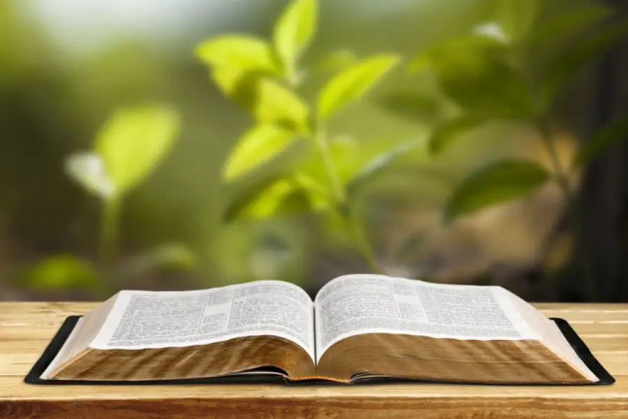La biblioteca municipal suma nuevos libros vinculados a la temática ambiental