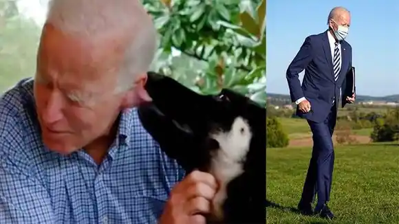 Biden sufrió una fractura en el pie jugando con su perro