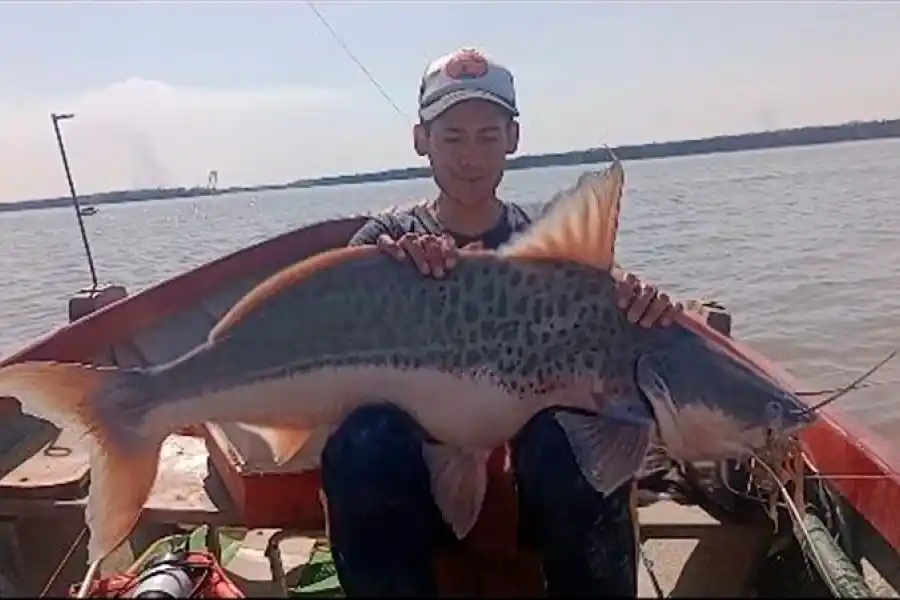 Una imagen que sorprende: el joven con esta verdadera bestia del Paraná