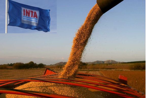 Advierten que los ajustes del Gobierno en el sector agropecuario producirán "consecuencias catastróficas"