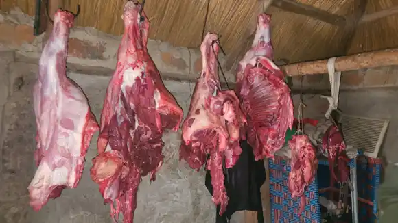 “Me mandé una c***”: cayó un hombre que tenía carne faenada ilegalmente