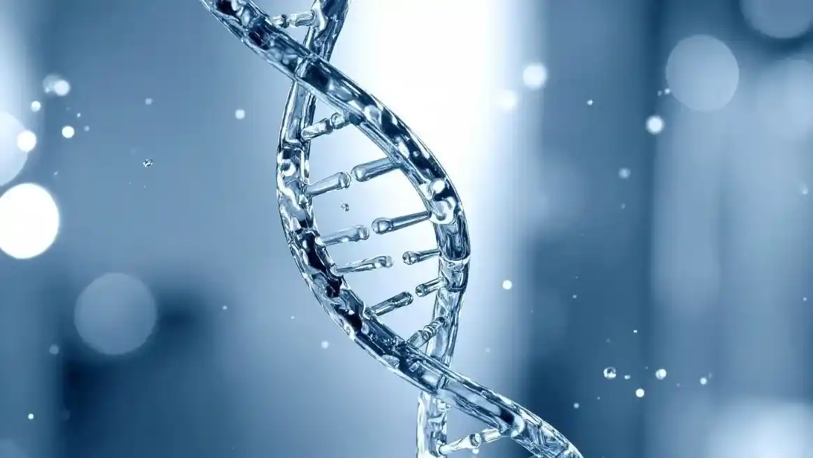 Día Mundial del ADN: los secretos de la molécula que define nuestra identidad y revoluciona la ciencia