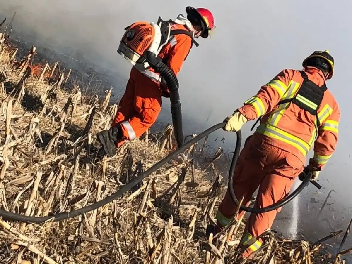 Se quemaron 400 hectáreas: bomberos siguen trabajando en incendio cerca del Aero Club 