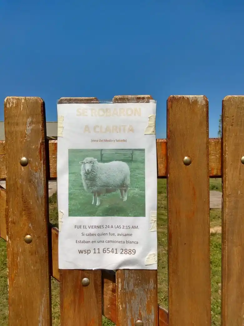 “Se robaron a Clarita”