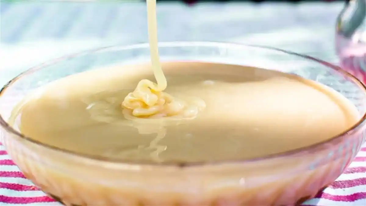 Aprende a preparar leche condensada, casera y vegana (+Video)