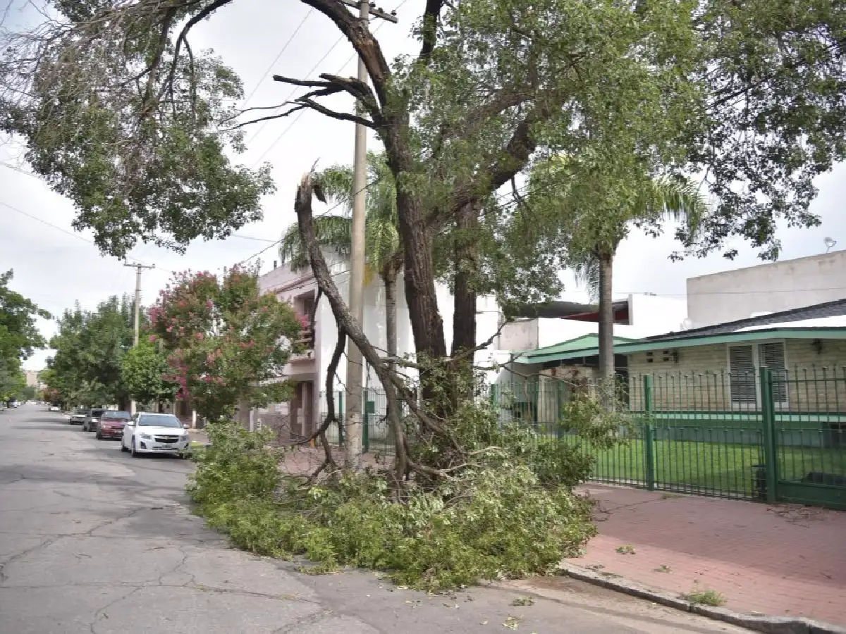 Después del calor, un temporal  azotó la provincia y causó destrozos