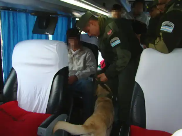 Gendarmería secuestró más de 20 kilos de marihuana en un micro