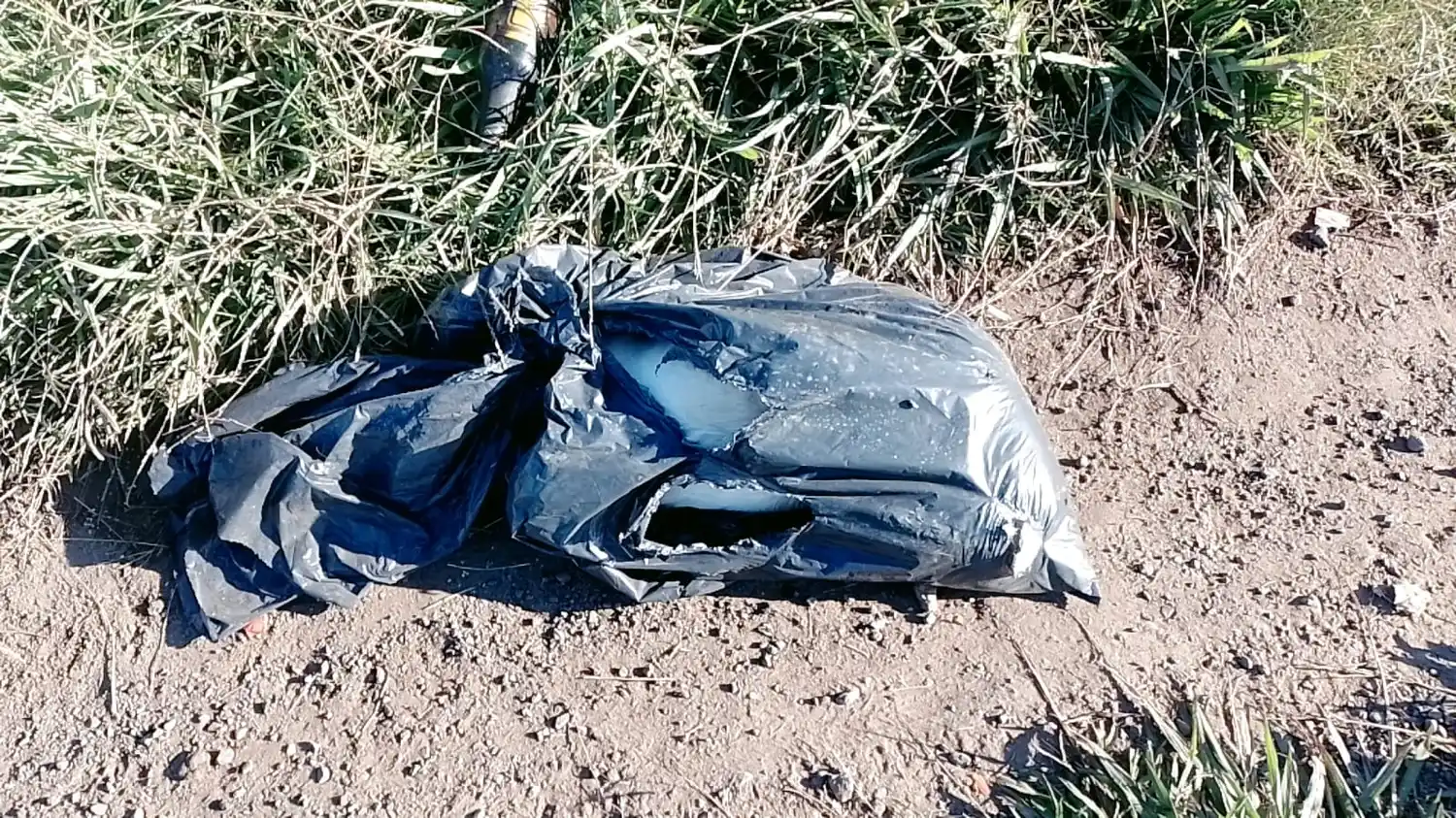 Campitos del barrio Paraná: “Tiran mascotas muertas”