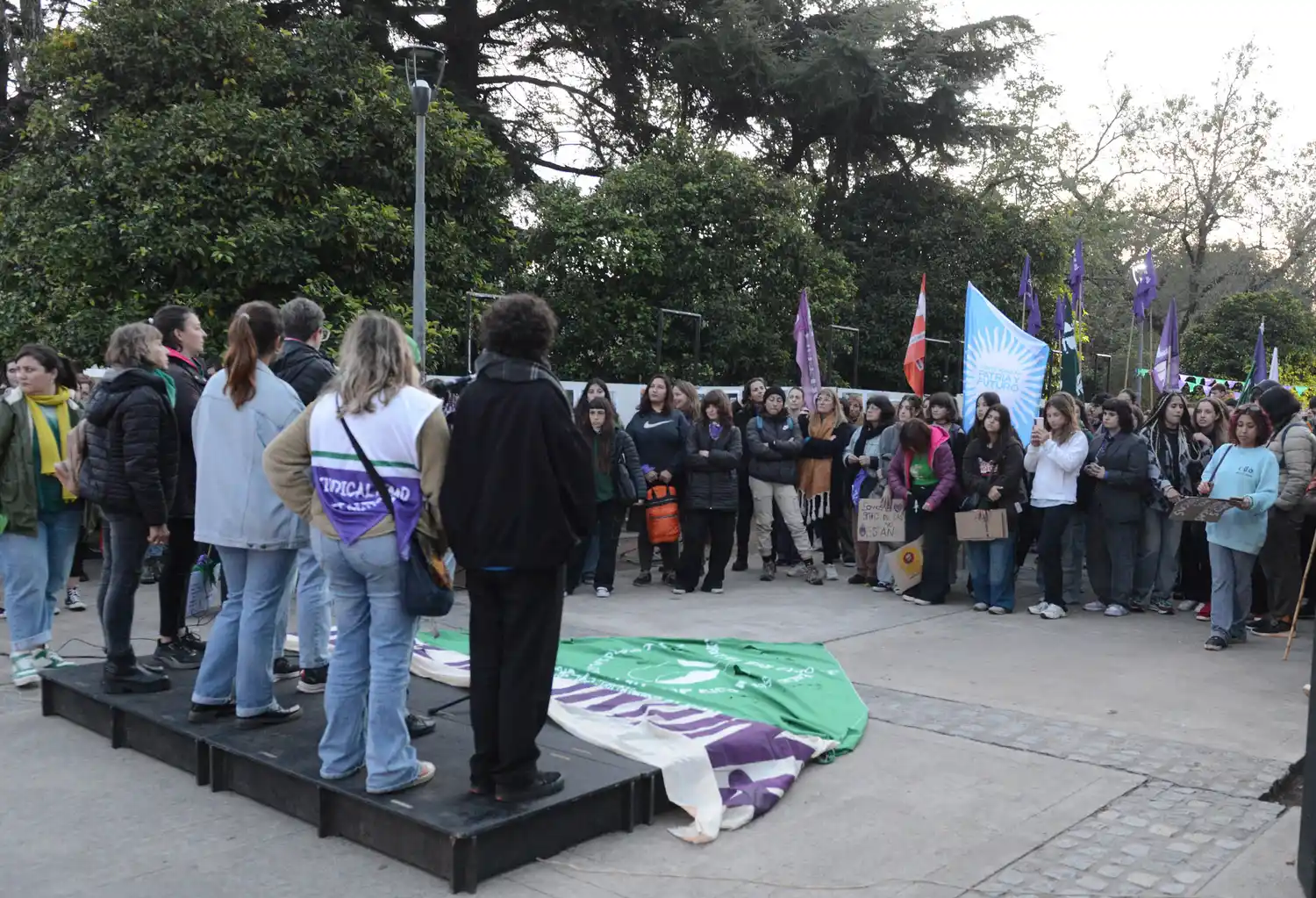 Marcha ni una menos 2025 - 6