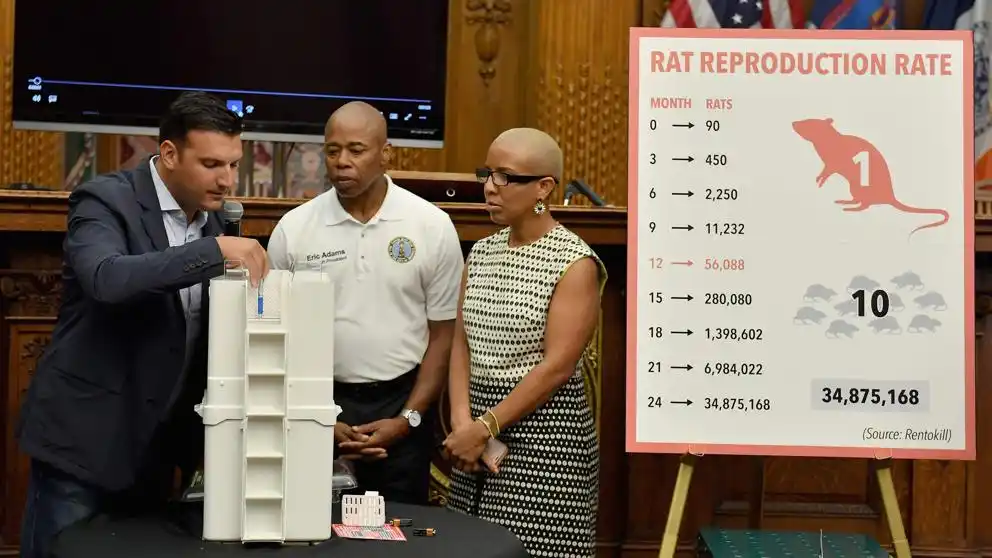 Nueva York lanza un nuevo plan contra las ratas: ahogarlas con alcohol