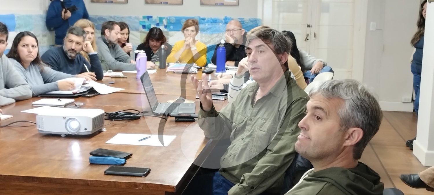 El titular del Emsur brindó explicaciones en el Concejo