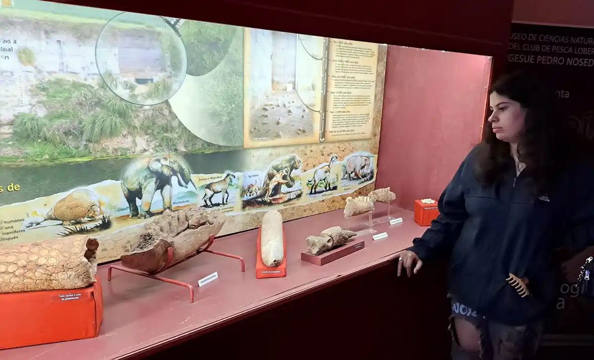 Museos. Para visitar durante la Semana Santa