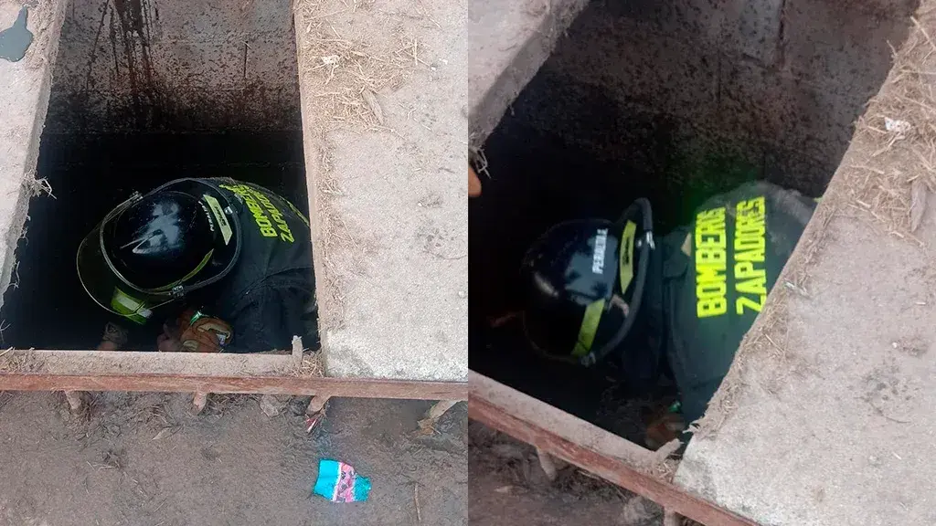 Bomberos rescataron a dos caninos atrapados en una boca de tormenta en Rafaela