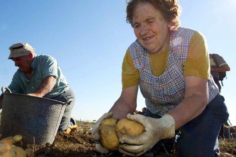 General Alvear: Intendente Celillo saludó a las mujeres rurales en su día