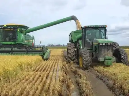 La Federación Agraria Argentina afirmó que el sector arrocero está “trabajando a pérdida”