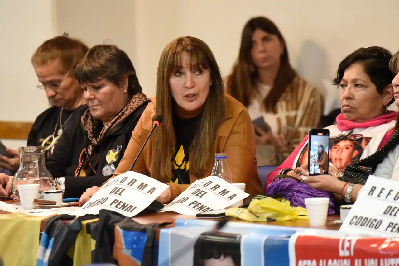 Alcohol Cero al Volante: Asociaciones civiles y familiares de víctimas apoyaron la iniciativa en Diputados