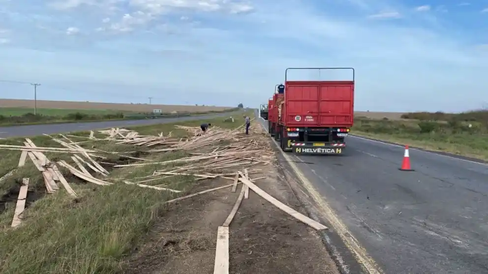 Un camión volcó la carga de maderas en la ruta 14