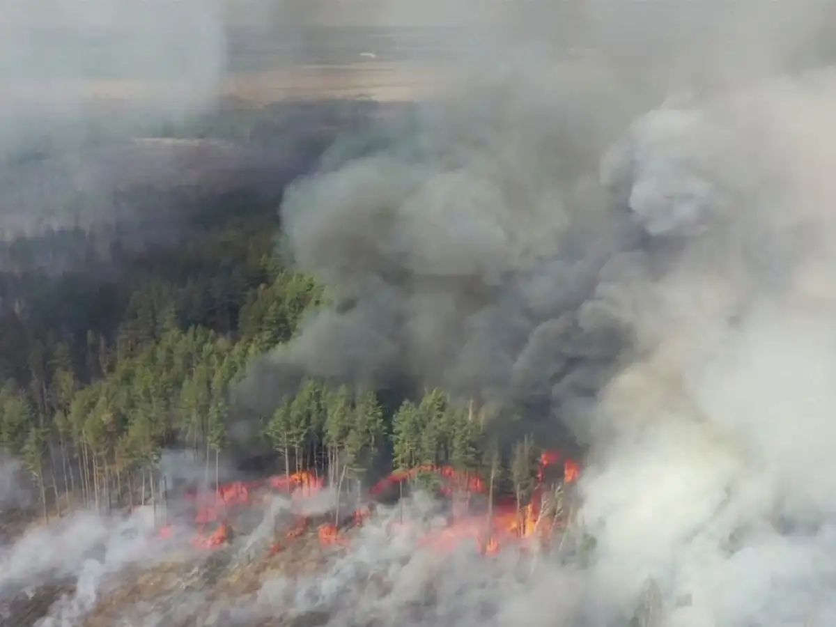 Un incendio en la zona de exclusión de Chernobyl amenaza a la planta