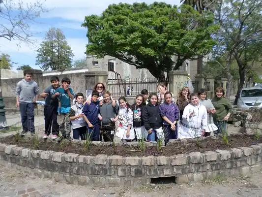 Plantaron especies nativas en canteros de calle Alem