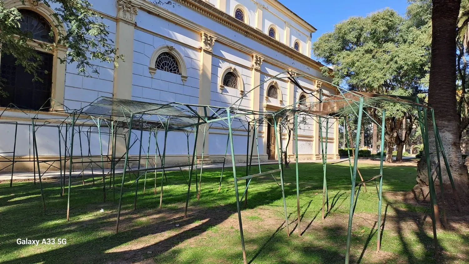 ¿Por qué tienen que estar abandonados así?