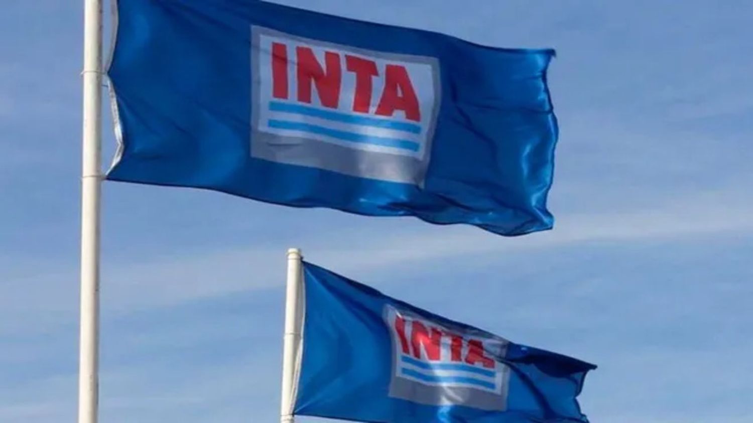 Sebastián Bonnin renunció al INTA y denunció el abandono de la ciencia argentina