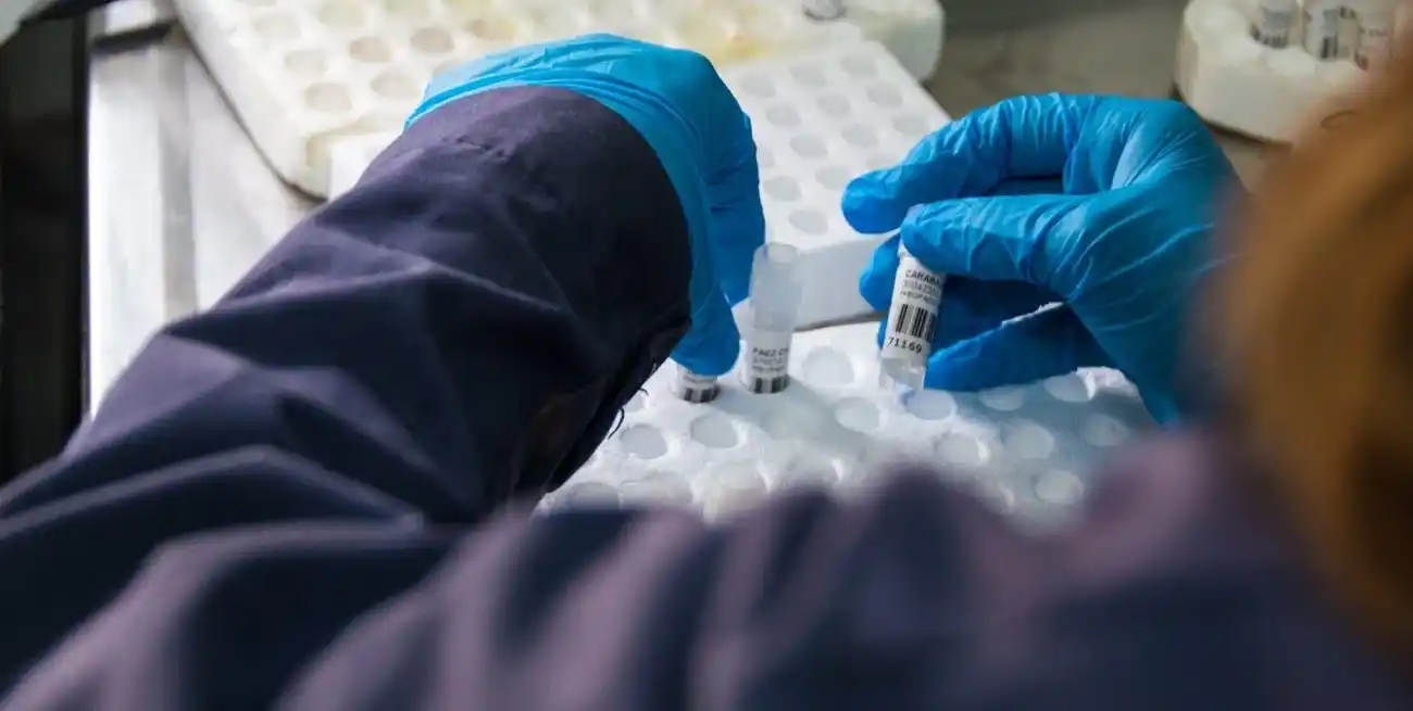 La provincia norteña informó un aumento de casos.