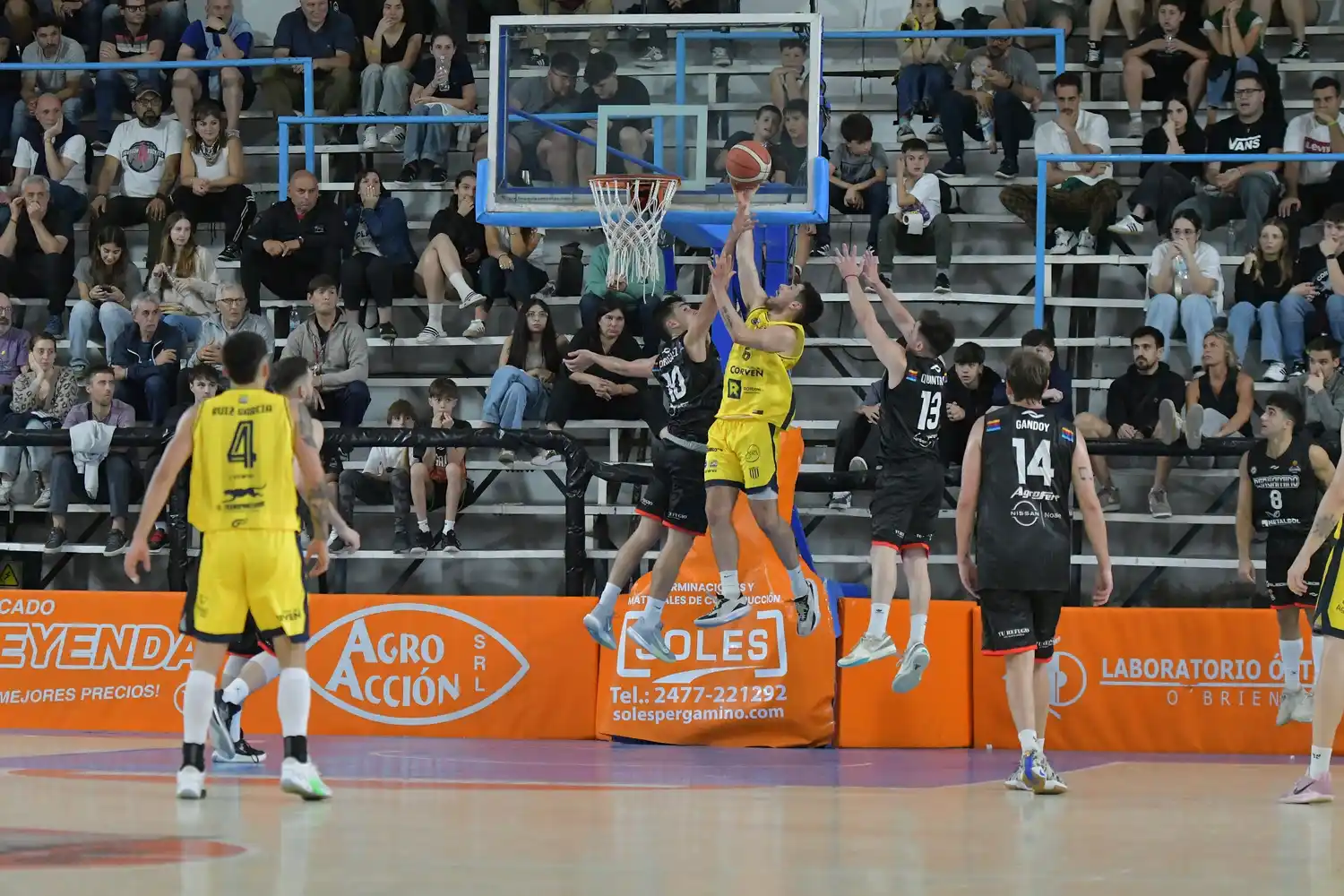 La Fiebre no pudo lograr la victoria en su estreno. Foto: Prensa Pergamino Básquet