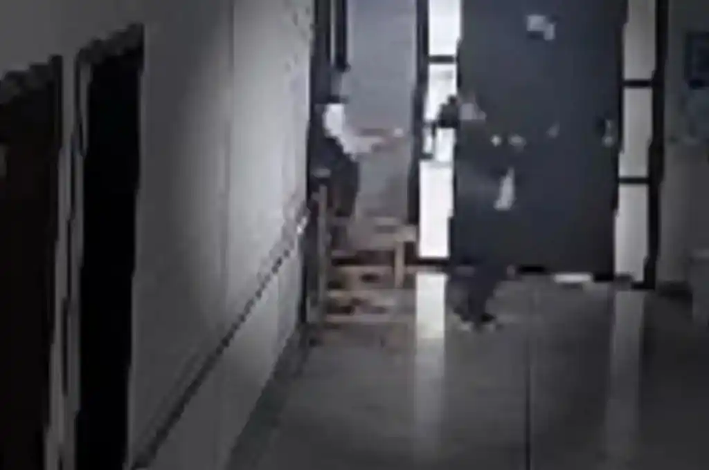 Docente agredió a una alumna