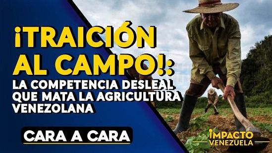 Impacto Venezuela