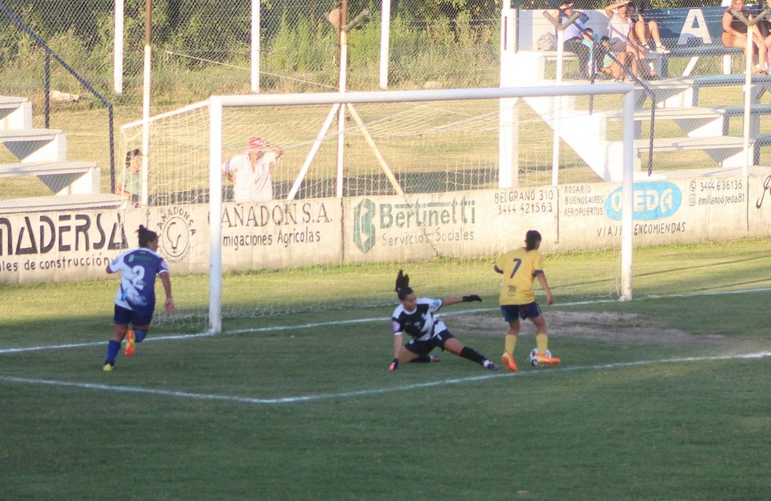 femenino libertad