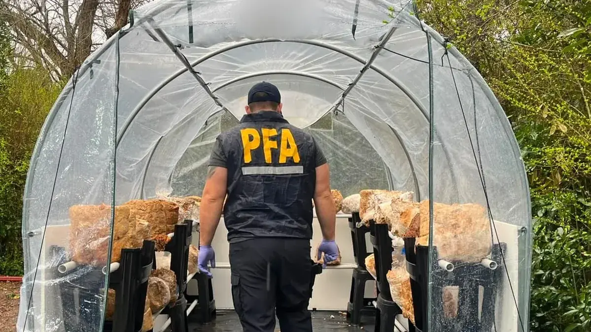 La PFA llevó adelante el allanamiento en dos inmuebles de Escobar.