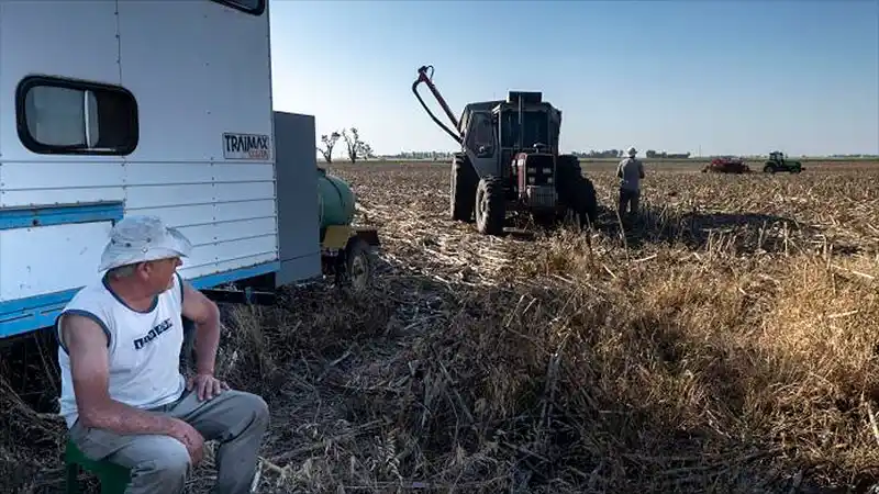 La provincia amplió la emergencia agropecuaria a otras producciones agrícolas perjudicadas por la sequía
