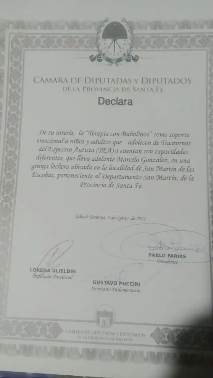 marcelo gonzalez bufaloterapia