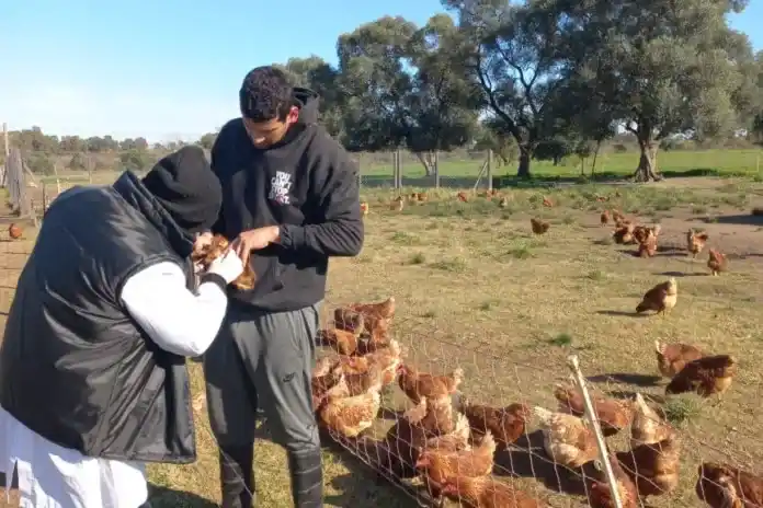 Gualeguay refuerza la prevención de enfermedades en aves