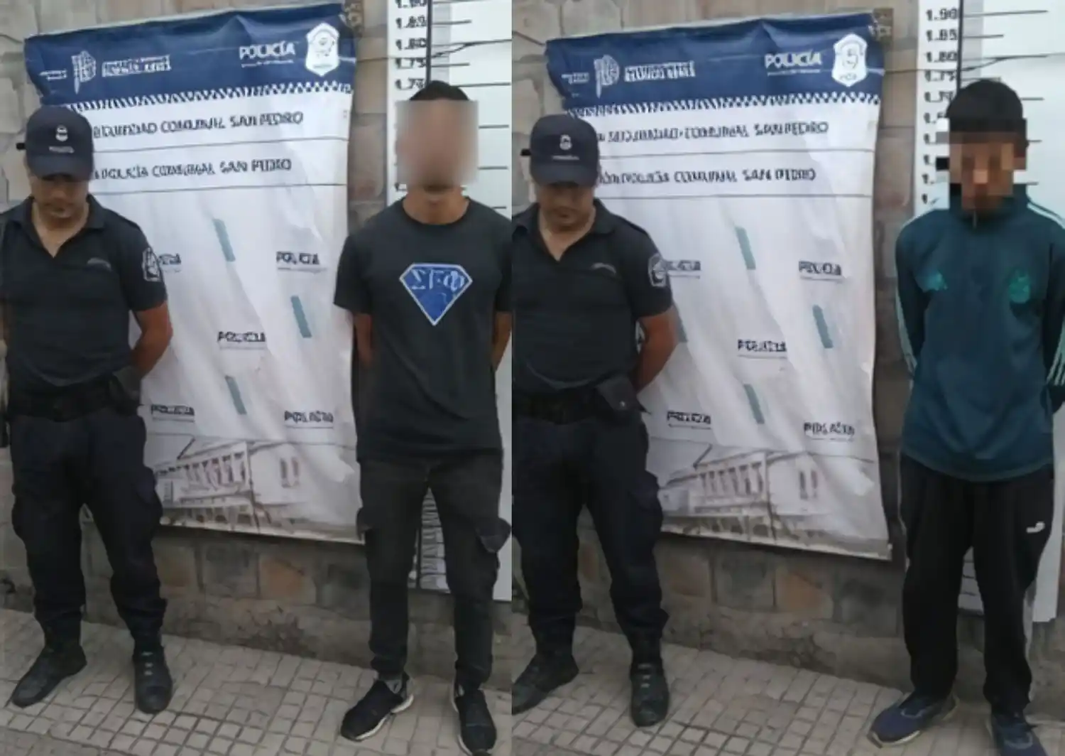 Detenidos tras robar paltas