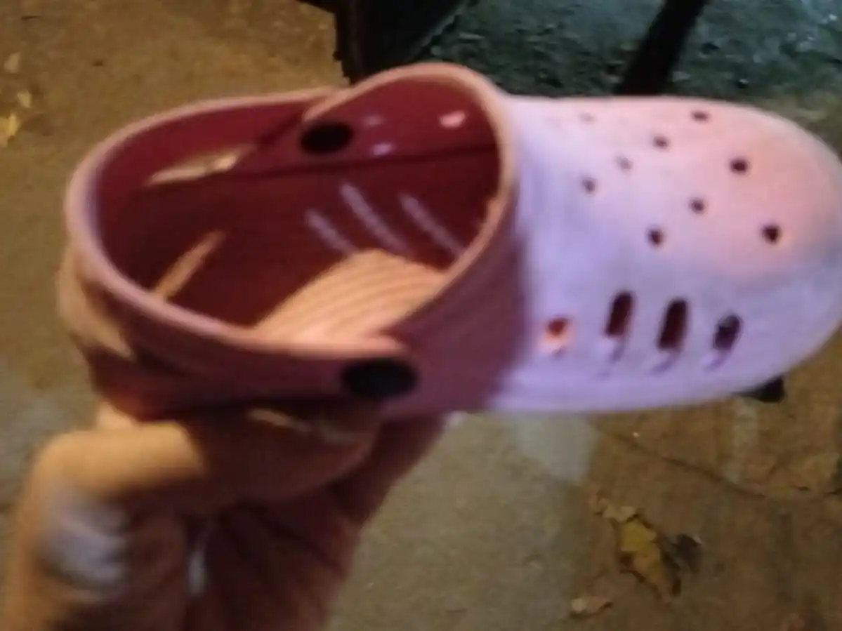 Encontraron Crocs en 11 de Septiembre al 900