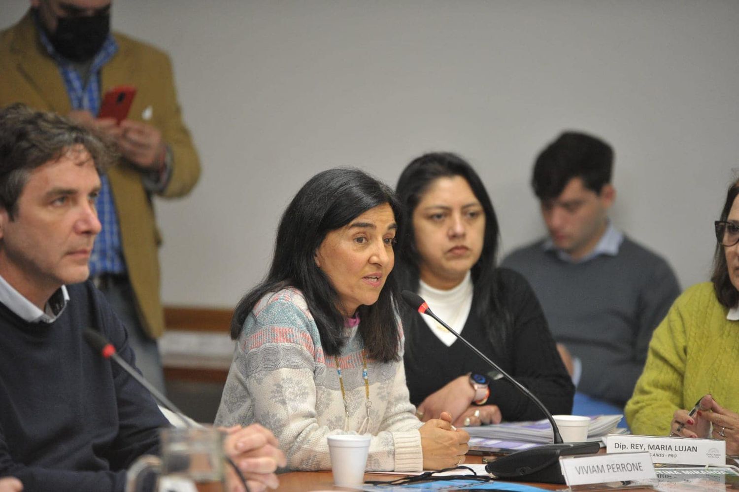 Alcohol Cero al volante: "Muchos diputados no van a las comisiones porque ya están en campaña", dijo Perrone