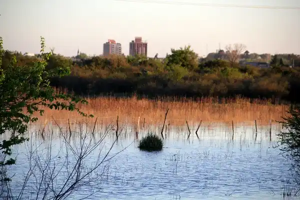 Tras un fin de semana pasado por agua, vuelve el buen clima y baja el río