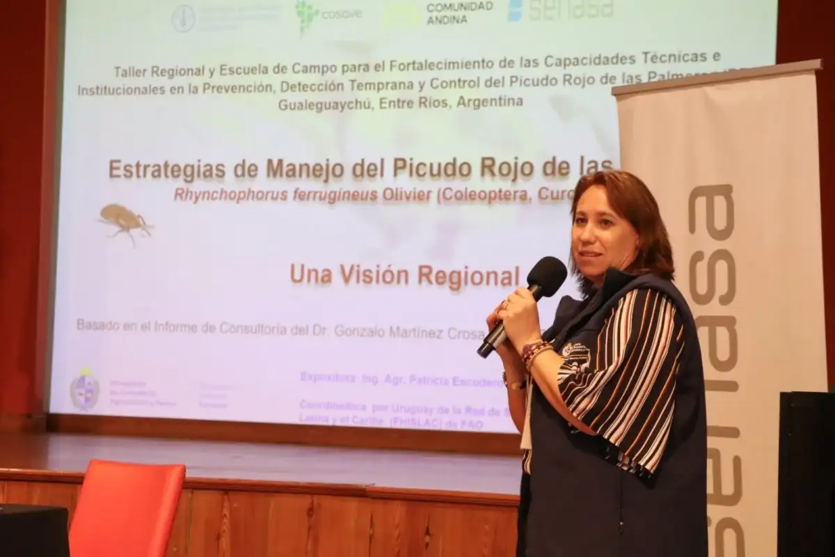 jornada picudo rojo