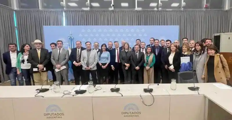 Transporte: Jofré y sus pares presentaron 
proyecto para crear un fondo compensador